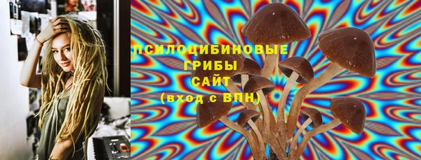ALPHA-PVP Гусь-Хрустальный