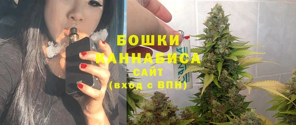 мдпв Горнозаводск
