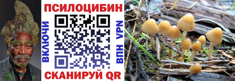 Галлюциногенные грибы Magic Shrooms  где купить наркоту  Мценск 