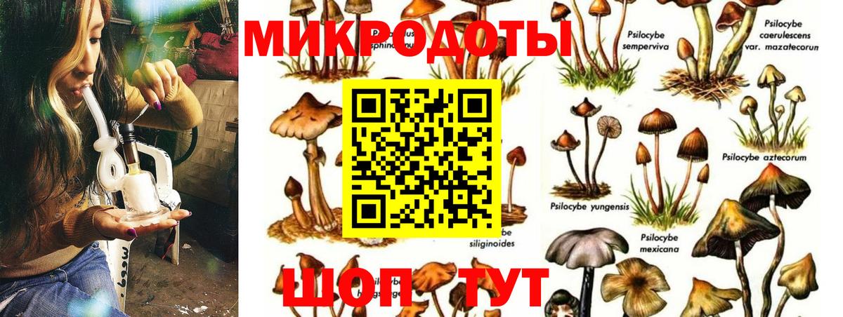 Псилоцибиновые грибы GOLDEN TEACHER Мценск