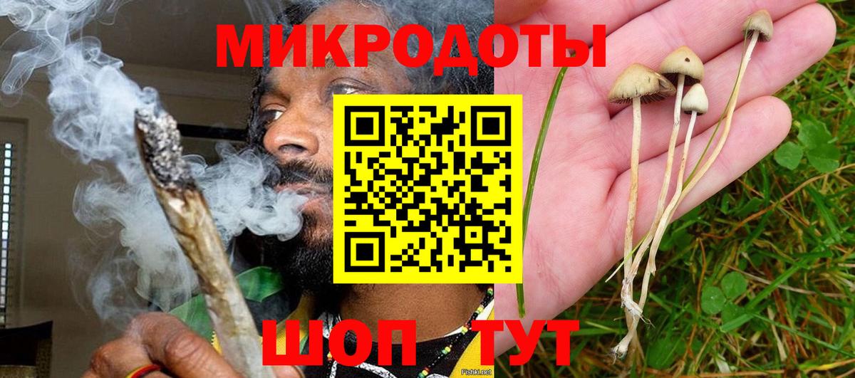 Галлюциногенные грибы мухоморы  Галлюциногенные грибы ЛСД  Вход с VPN  Мценск 